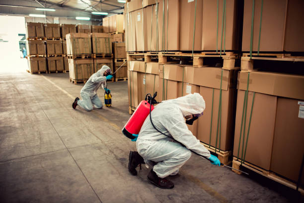 Best Residential Pest Control  in Aetna Estates, CO