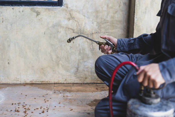 Best Pest Control Near Me in Aetna Estates, CO